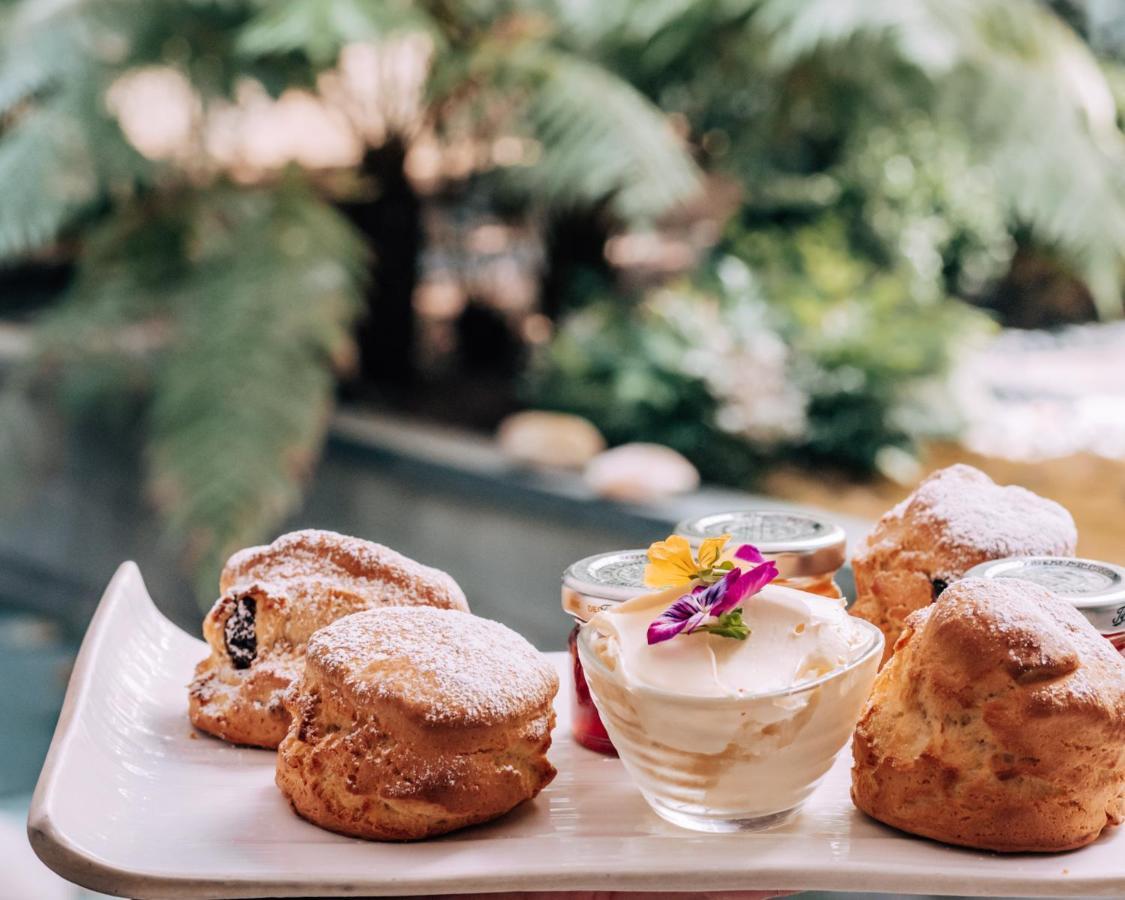 Sanderson Londýn Exteriér fotografie Scones with jam and clotted cream